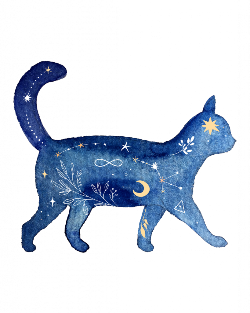 vespertine (1080 x 1350 px) blue cat